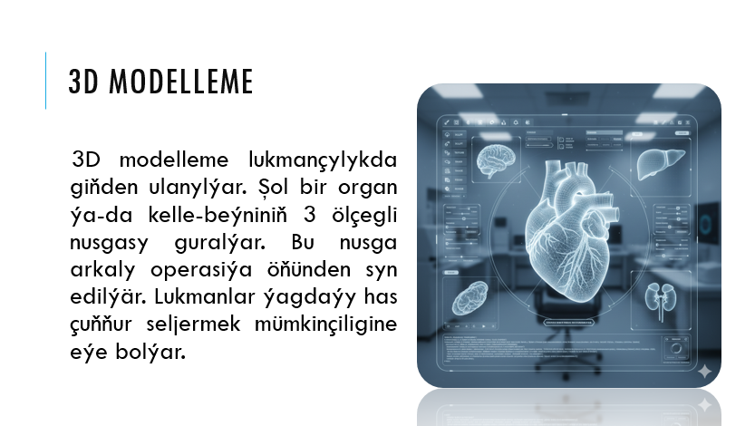 Lukmançylyk multimedia ulgamlarda kompýuter grafikasyny ulanmak